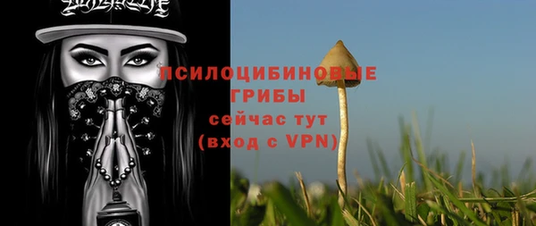 крисы Абинск