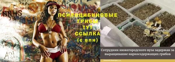 трава Абаза