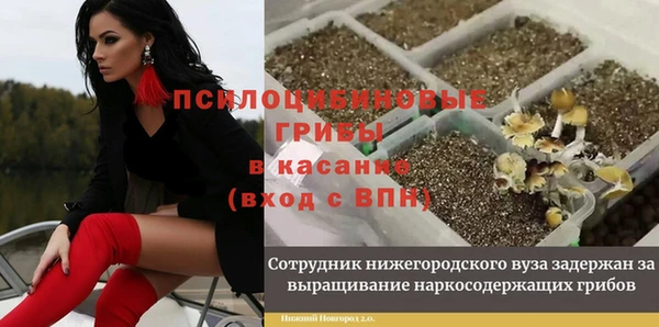 крисы Абинск