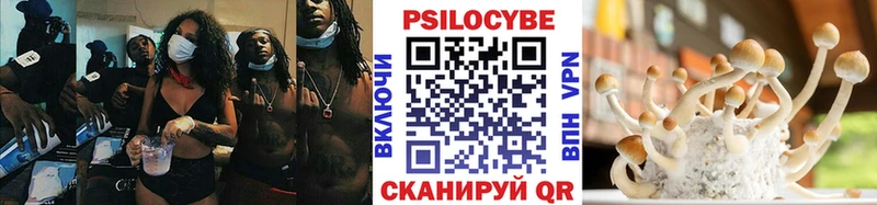 Псилоцибиновые грибы MAGIC MUSHROOMS  даркнет сайт  Щучье 