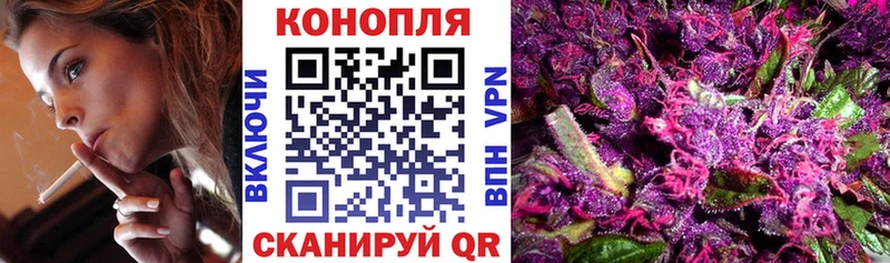 Бошки Шишки сатива  ОМГ ОМГ маркетплейс  Щучье 